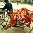 Carcasses