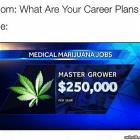 Career Plans