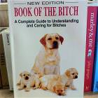 Caring For Bitches