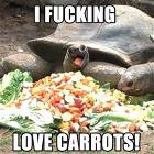 Carrots