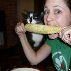 Cat Eating Corn