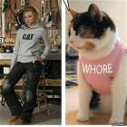 Cat Fashion