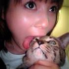 Cat Has A Flavor