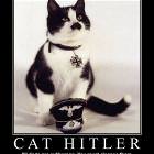 Cat Hitler