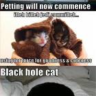 Cat Lolz