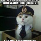 Cat Pilot