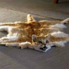 Cat Rug