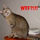 Cat Says Wtf