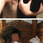 Cat Selfies