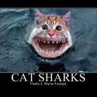 Cat Sharks