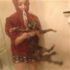 Cat Taking A Shower