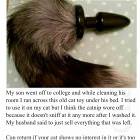 Cat Toy