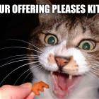 Cat Treat