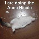 Catannanicolejf0