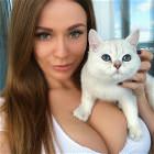 Cats 20