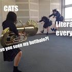 Cats