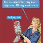 Cats Dont Judge You
