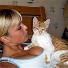 Cats Picdump 4