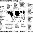 Cattle Products