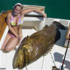 Caught A Fish