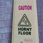 Caution Horny Floor