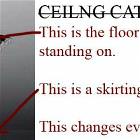 Ceiling Cat