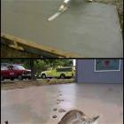 Cement Cat