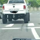 Changed Its Gender