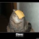 Cheez_doing_it_wrong