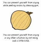 Chew Some Gum