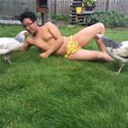 Chicks