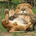 Chillin