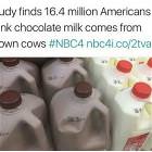 Chocolate Milk