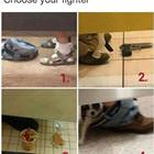 Choose Your Fighter