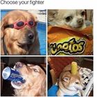 Choose Your Fighter