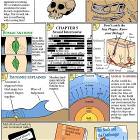 Christian Science Book