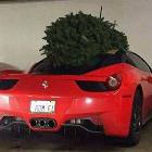 Christmas Is Coming 2