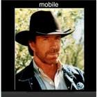 Chuck Norris Is Calling