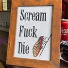Cicada Life