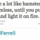 Cigarettes And Hamsters