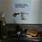 Clean Your Dishes