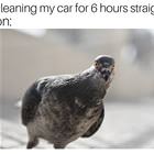 Cleaning My Car