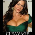 Cleavage