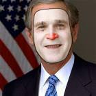 Clown Bush
