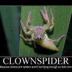 Clownspider