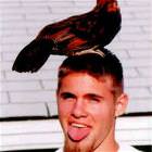 Cock On His Head