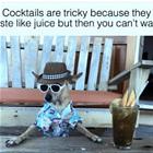 Cocktails Are Tricky