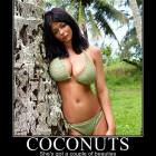 Coconuts