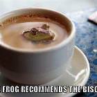 Coffee Frog