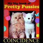 Coincidence